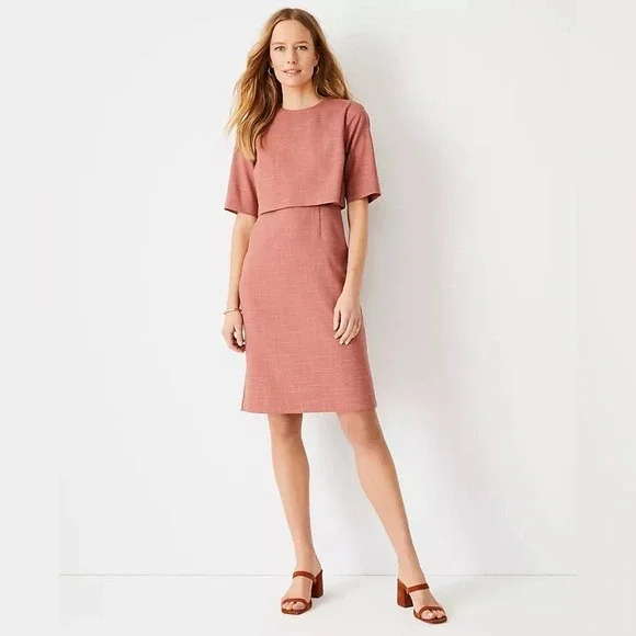 NWT Ann Taylor Elbow Sleeve Overlay Sheath Dress Rose Pink Crosshatch Size 14 - Picture 2 of 10